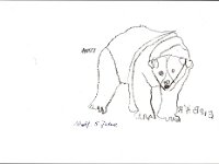 Wolf : Wolf